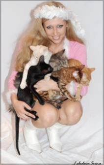 Template Clip Image002 0015 212x335