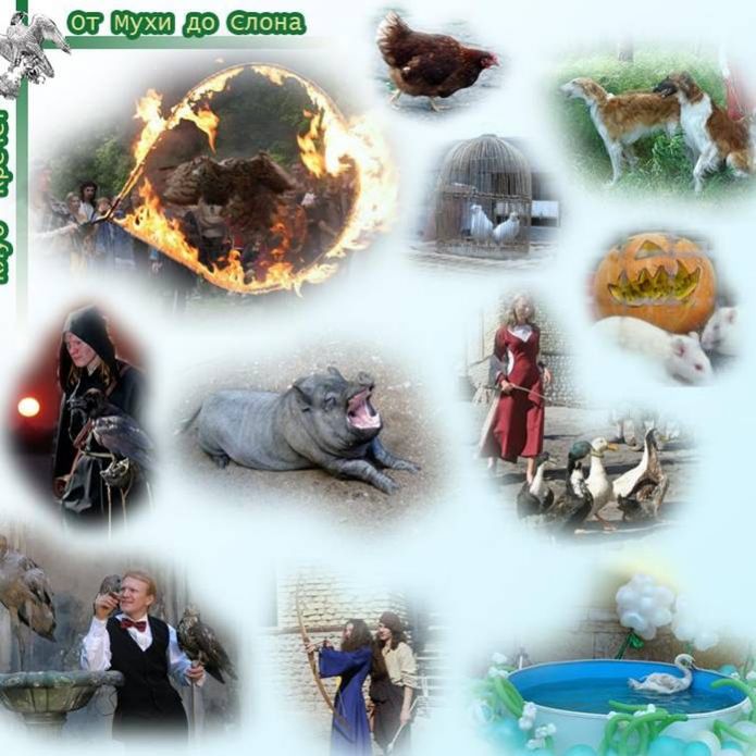 Template Clip Image002 0030 695x695