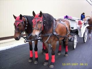 Template Clip Image002 0033 320x240