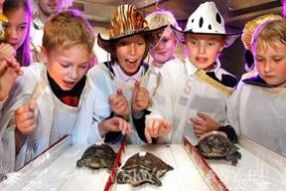 Template Clip Image004 0005 286x191