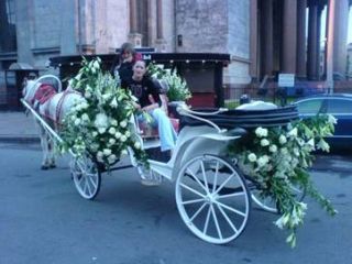 Template Clip Image004 0008 320x240