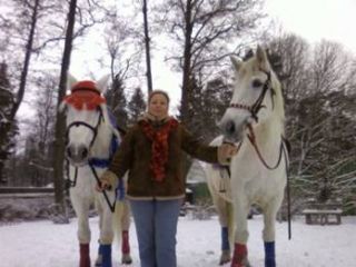 Template Clip Image006 0006 320x240