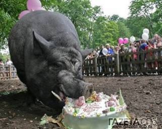 Template Clip Image008 0002 322x257