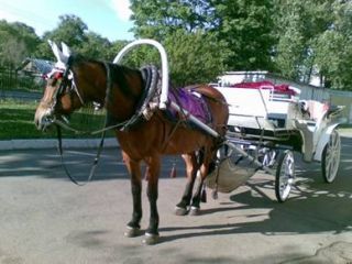 Template Clip Image008 0004 320x240