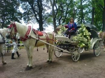 Template Clip Image012 0003 348x261